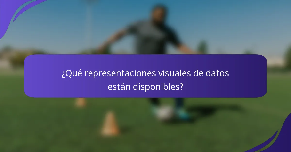 ¿Qué representaciones visuales de datos están disponibles?